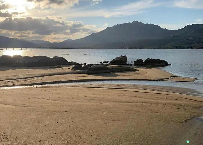 Apartment Orchidea Olbia